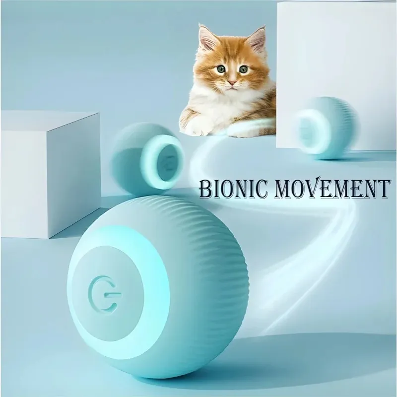 Smart Cat Toy 5