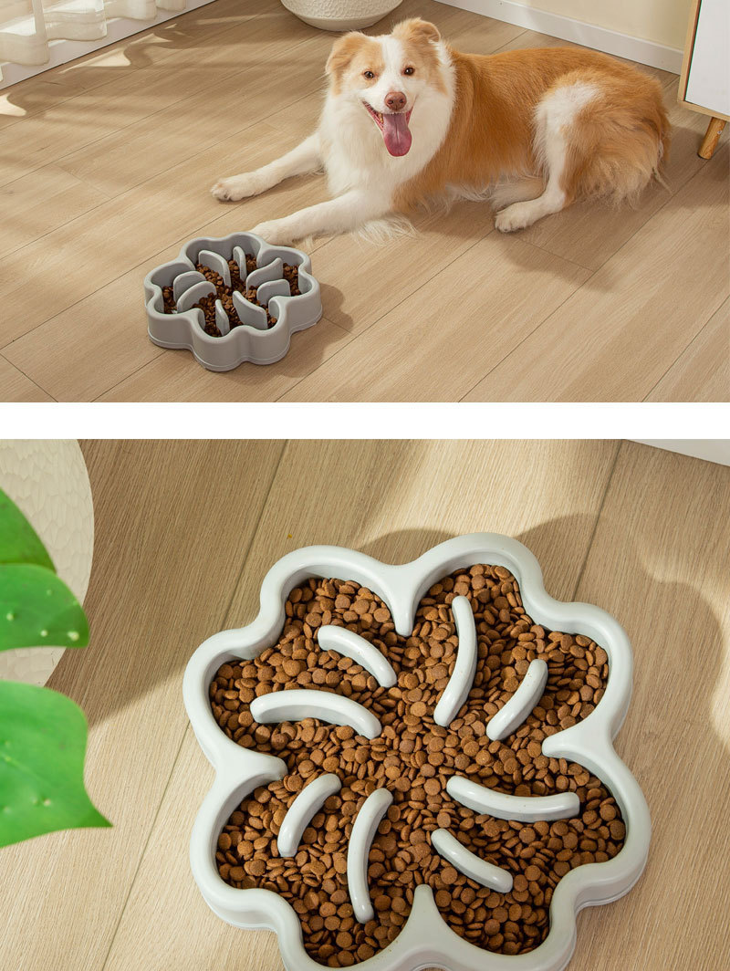 Pet supplies showcase 7