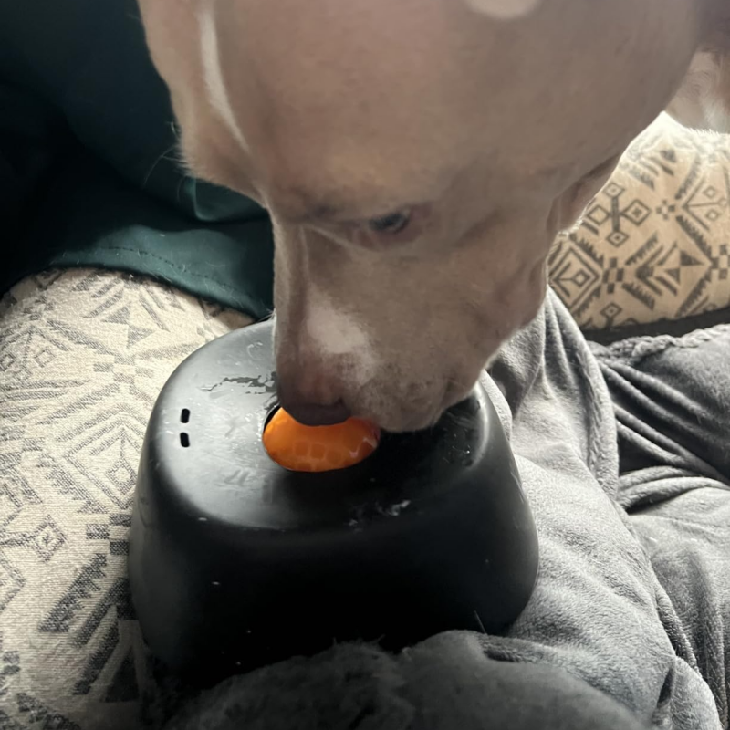 Pet Slow Feeder Detail 2