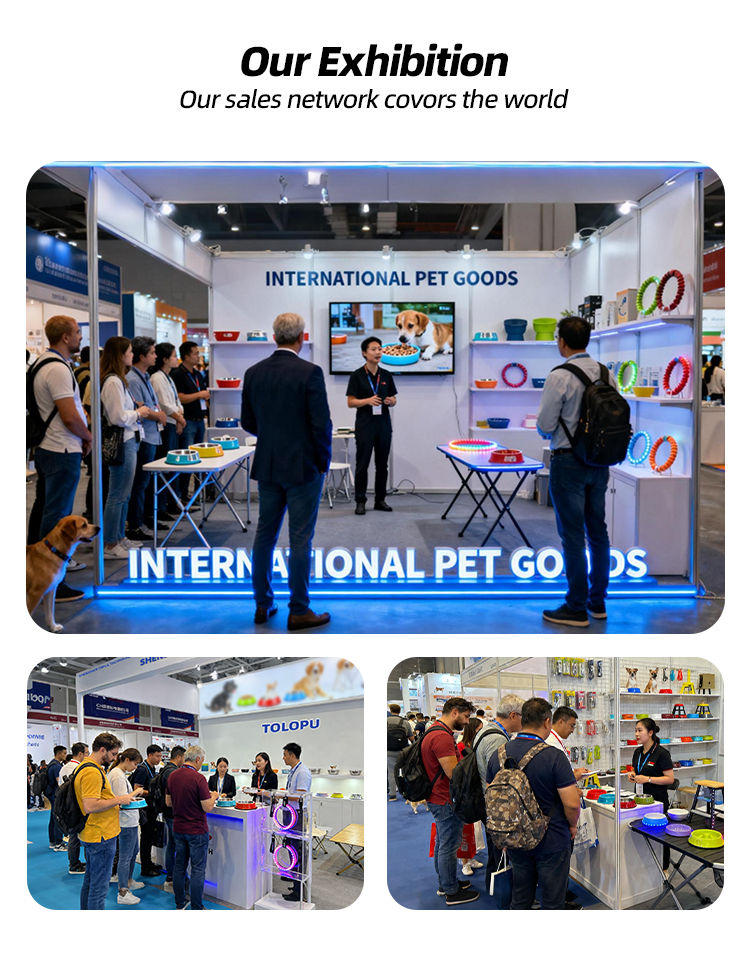 Exhibition Booth and Display