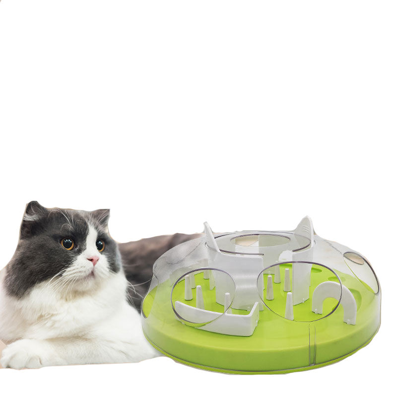 Factory Price Pets Supplies Dog Food Eating Utensils Prevent Chocking Easy Clean Slow Feeder Bowl With Puzzle for Pets