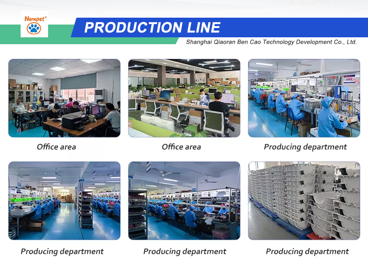 Company Showcase 2