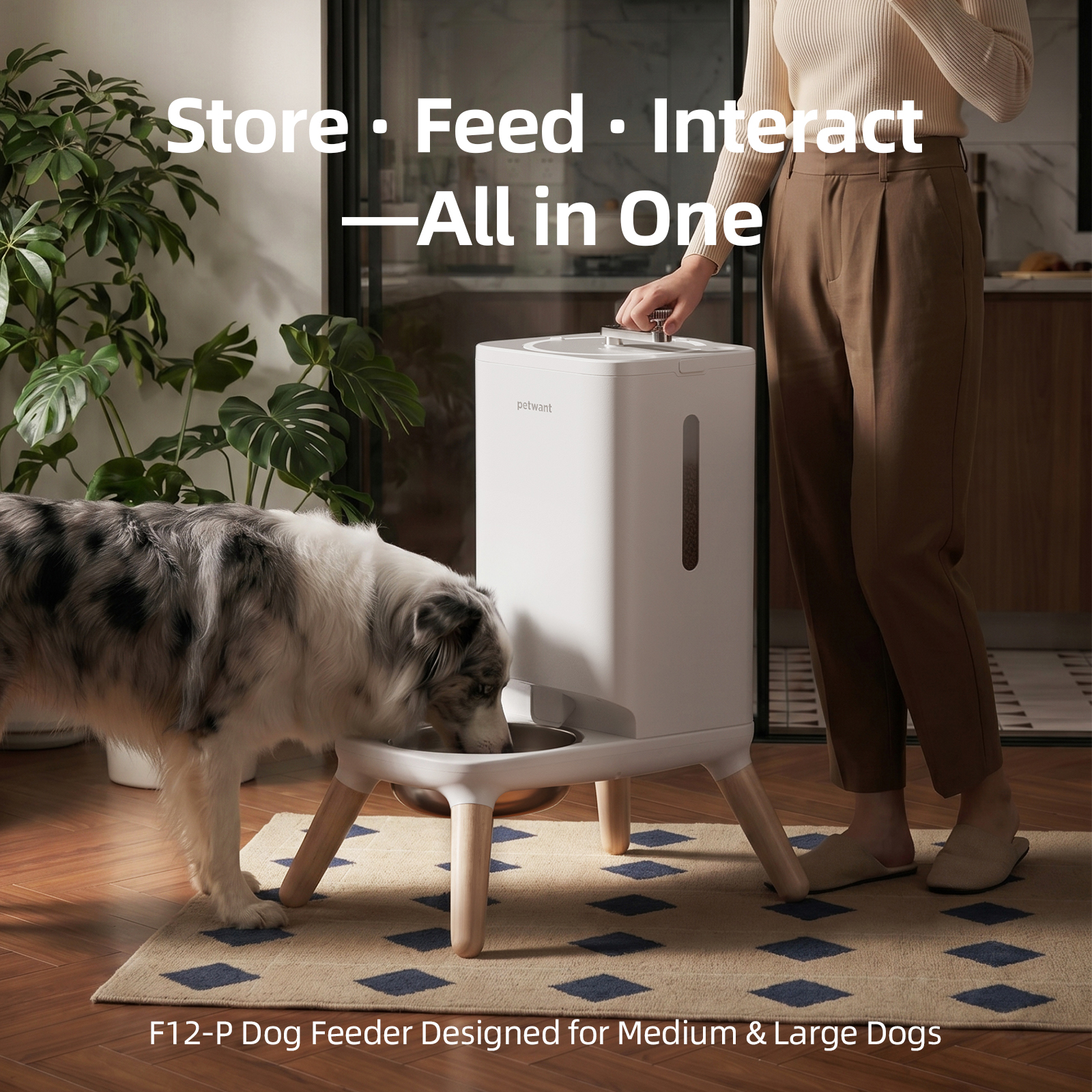 Petwant Automatic Modern Solid Dog Feeder For Medium 22L Large Dogs With Large Capacity Pet Food Dispenser Pet Food Bowl