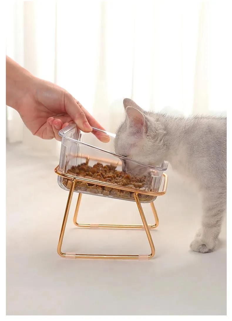 Removable 15 Tilted Elevated Pet Cat Dog Food and Water Bowls Set with Iron Stand