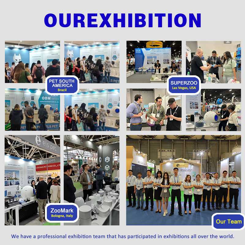 Exhibition View 1