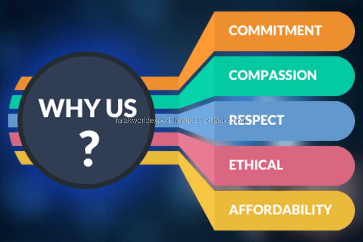 Why Choose Us Advantages Infographic