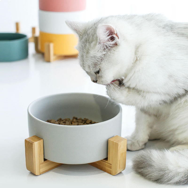 Elevated Stand Raised Ceramic Pet Bowl Style 3