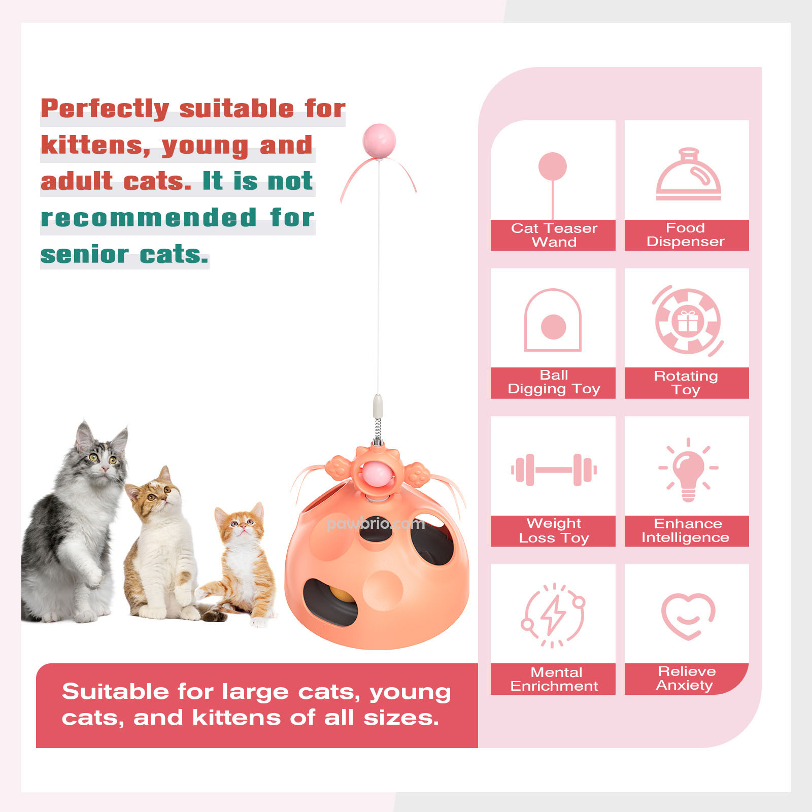 Interactive cat toy 3