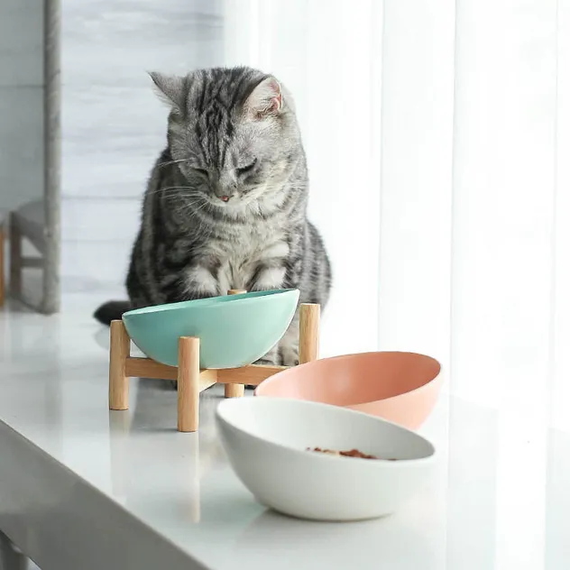 Elevated Tilted Ceramic Cat Bowl with Wooden Stand for Cats