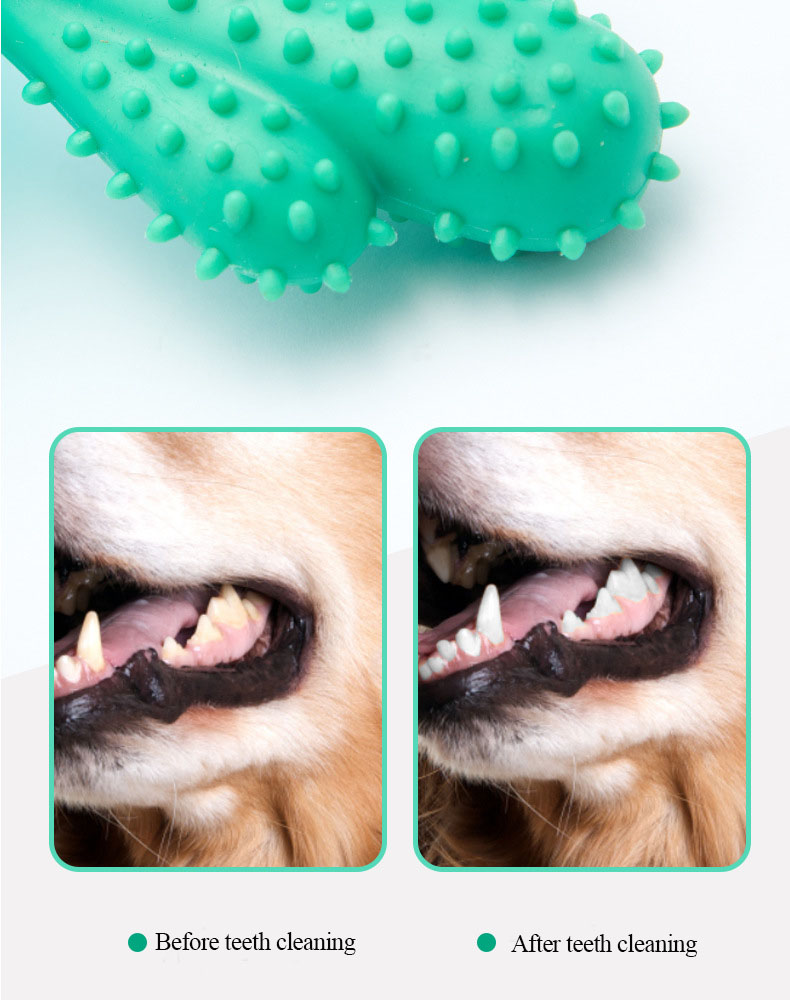 Pet Product Showcase 7