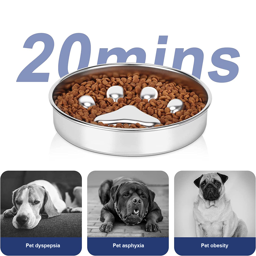 Anti Choking Slow Pet Bowl Dimension