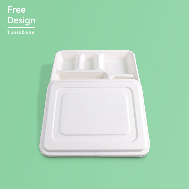 Multi-Compartment Food Tray Biodegradable Plate 6 Compartment Disposable Plate