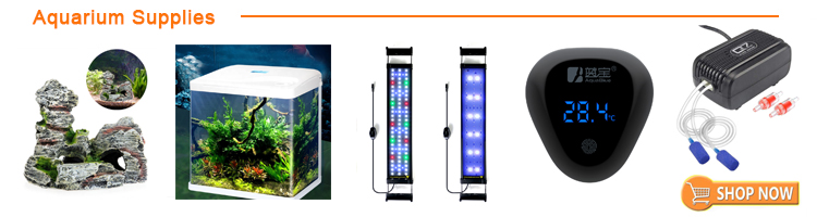 Aquariums & Accessories