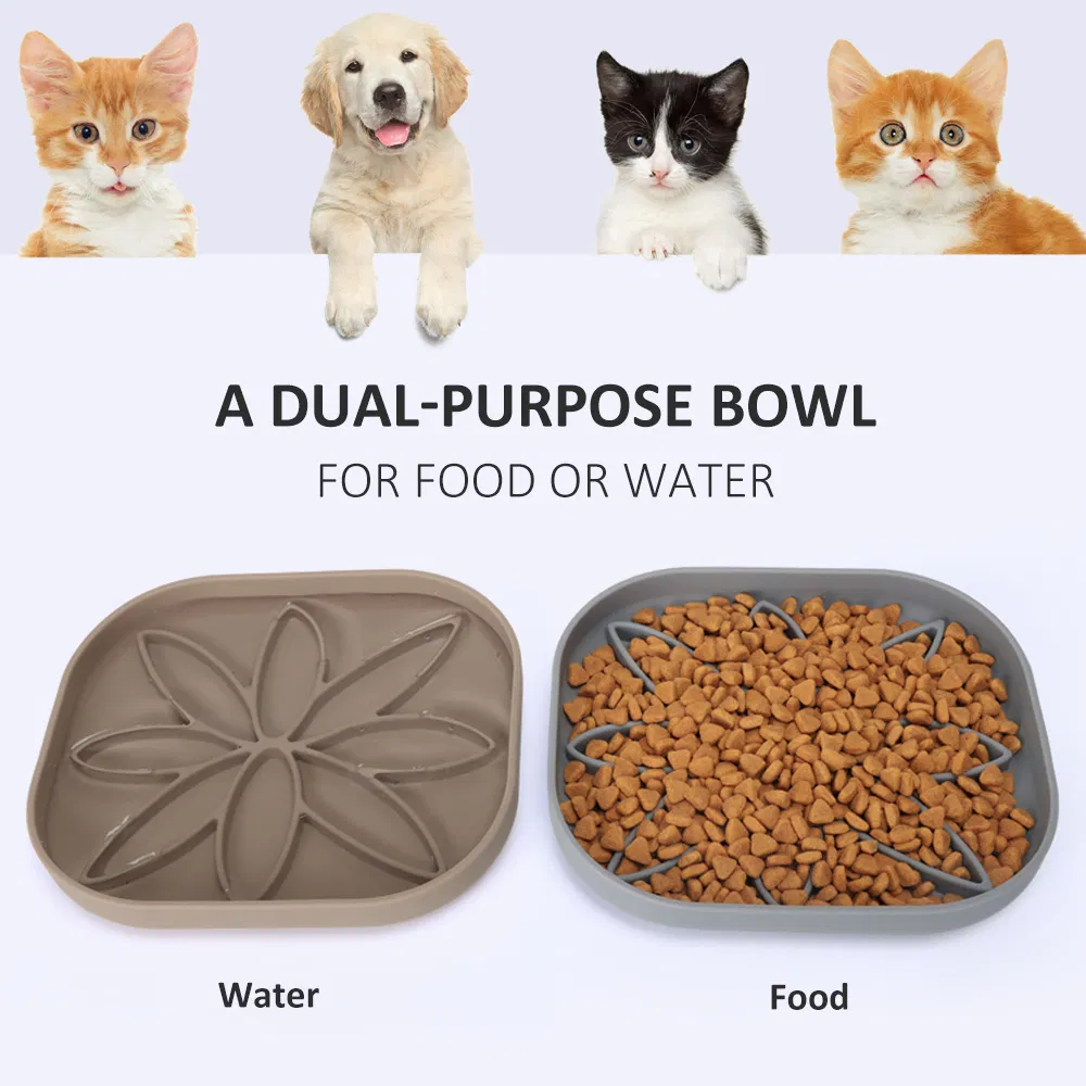 Silicone Dog Bowl Application 1