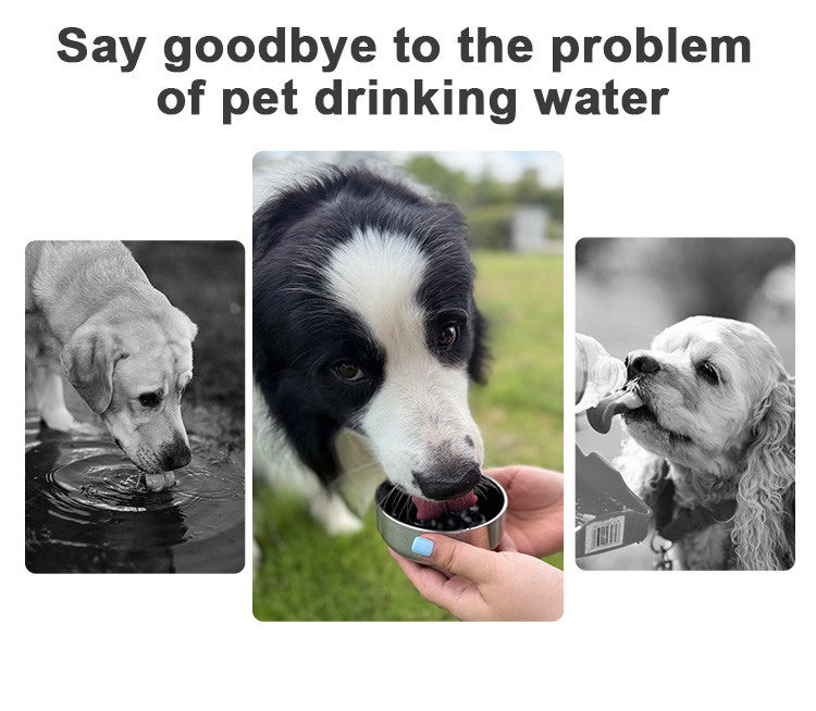 Pet Feeder Detail 7