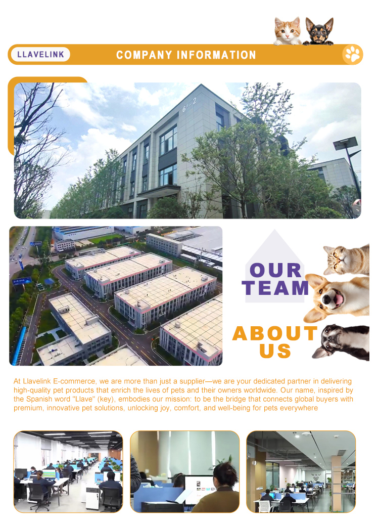Company Profile 3