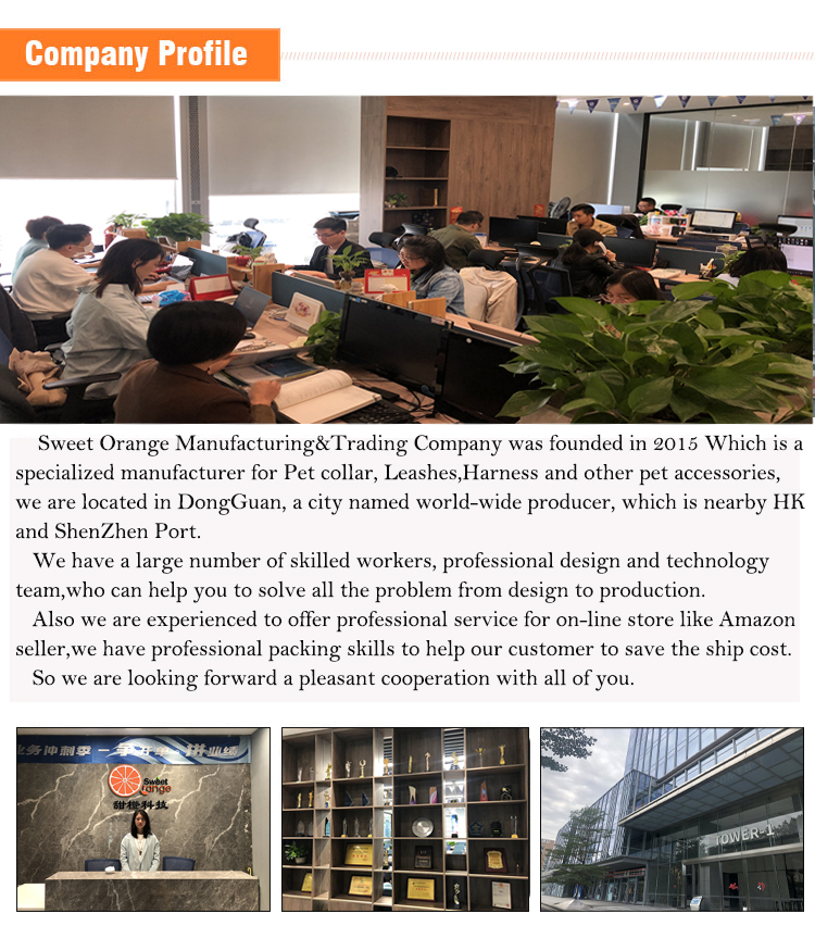 Company Environment 1