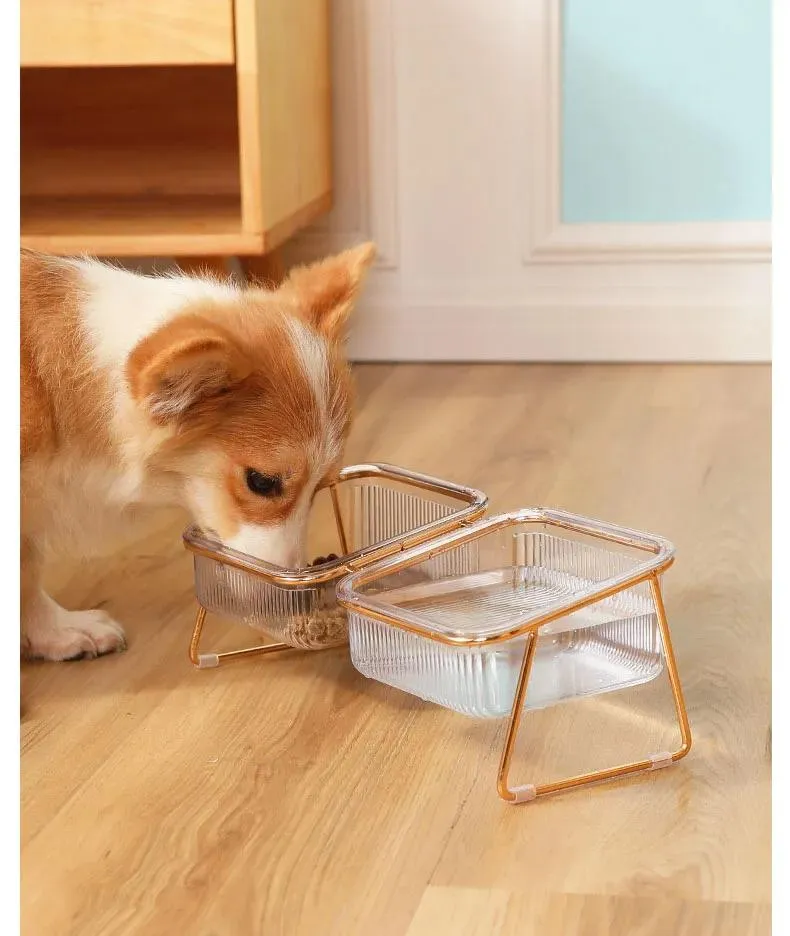 Removable 15 Tilted Elevated Pet Cat Dog Food and Water Bowls Set with Iron Stand