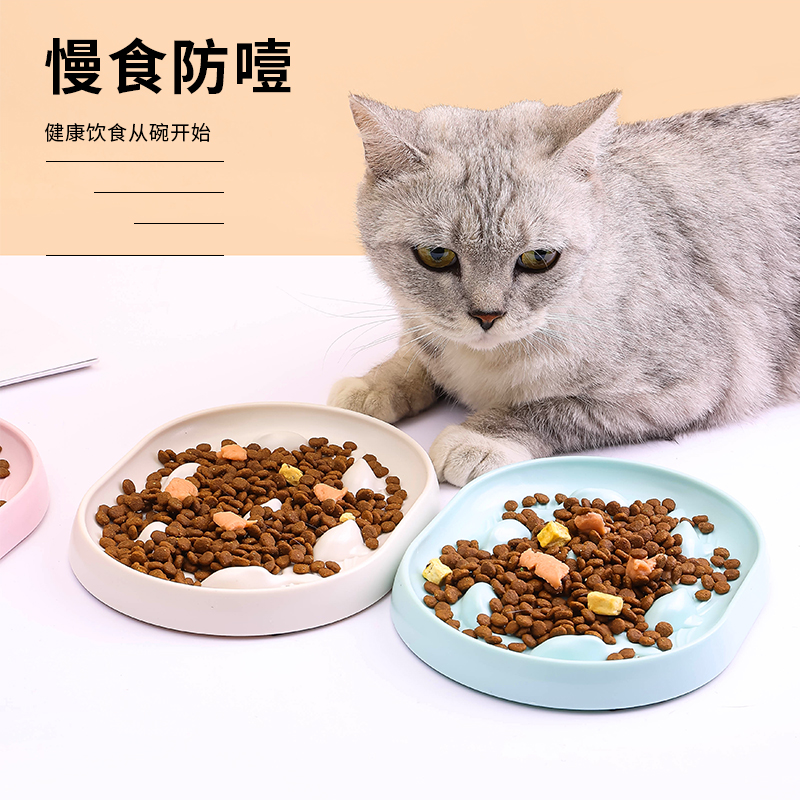 Automatic Slow Feeding Anti-Choking Dog &amp; Cat Food Bowl with ABS Material Box Design for Pets