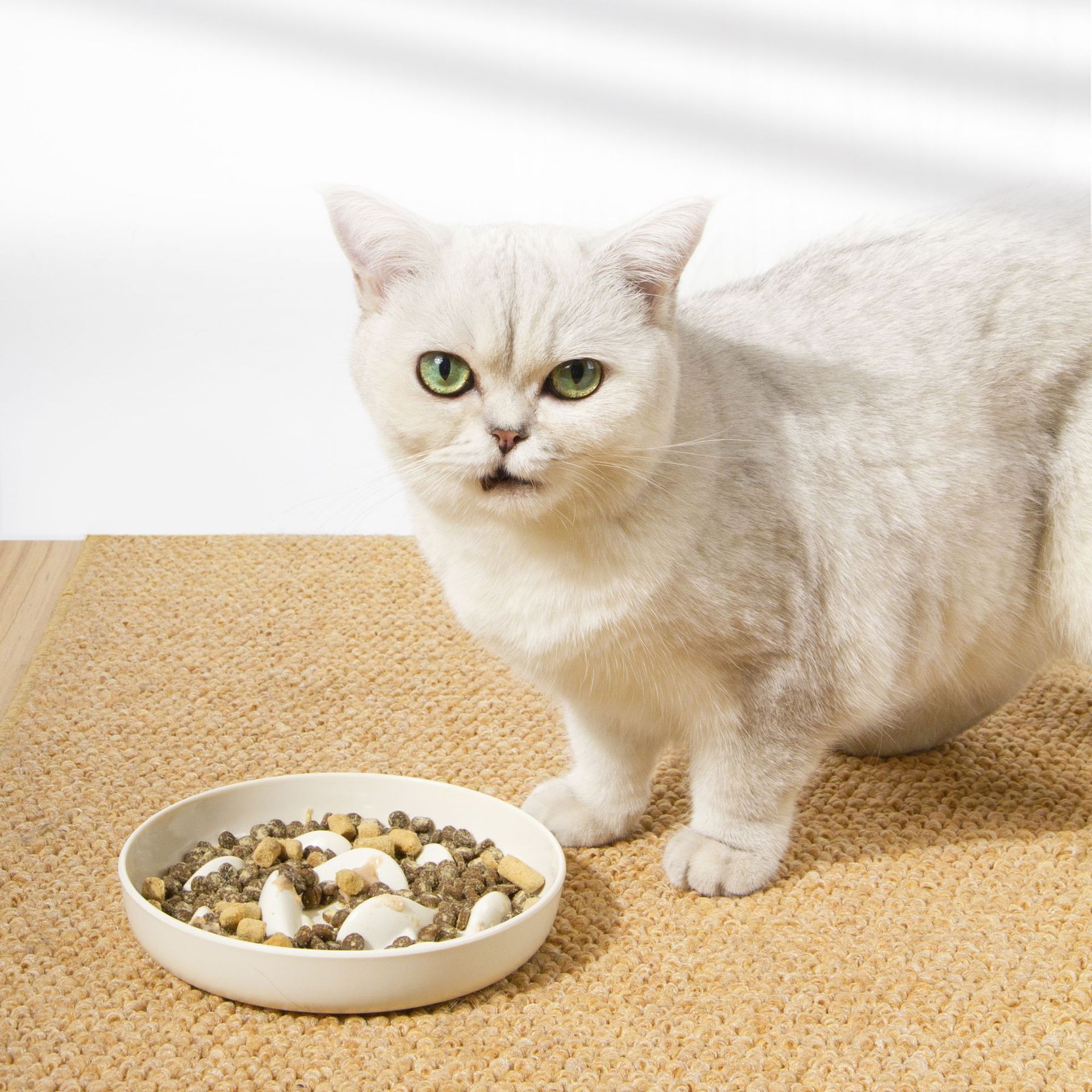 For Bestseller Slow-Feeding Round Dog Cat Pet Feeder Prevent Choking Slow-Eating Dish for Cats and Dogs