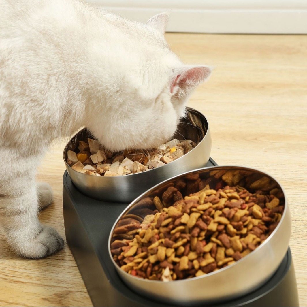 Wholesale 304 Stainless Steel Slow Feeder 2-in-1 Bird Lick Food Dispenser and Pet Water Bowl Solid Waterproof Durable for Pets