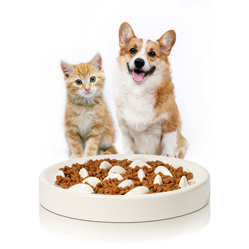 Anti-Choking Ceramic Slow Eating Pet Bowl with Cute Whale Design