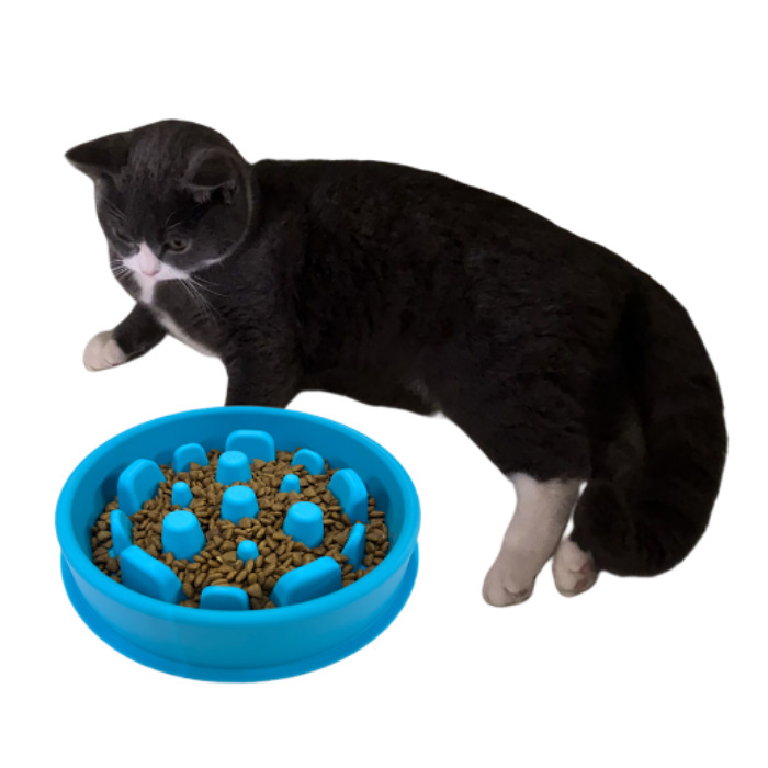 Manufacturer Direct Supply Silicone Pet Slow Feeder Bowl Sky Blue/Dark Gray/Peach Pink Prevents Choking Vomiting