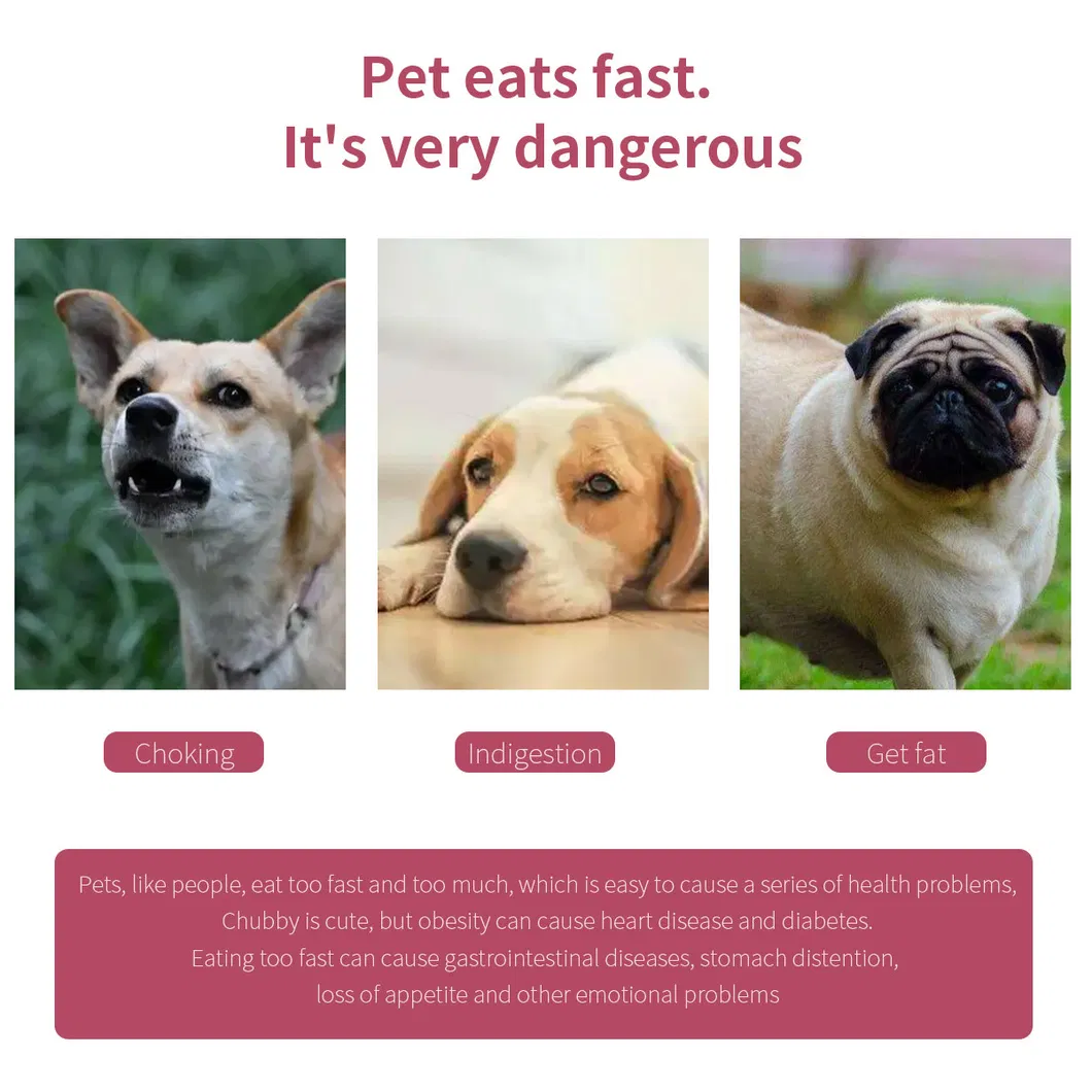 Dog Slow Feeder Bowls, Puzzle Dog Food Bowls, Slow Eating Dog Bowl