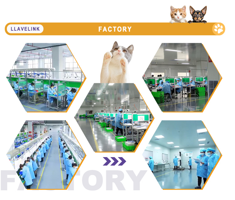 Company Profile 4