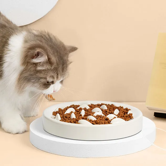 Anti-Choking Ceramic Slow Eating Pet Bowl with Cute Whale Design
