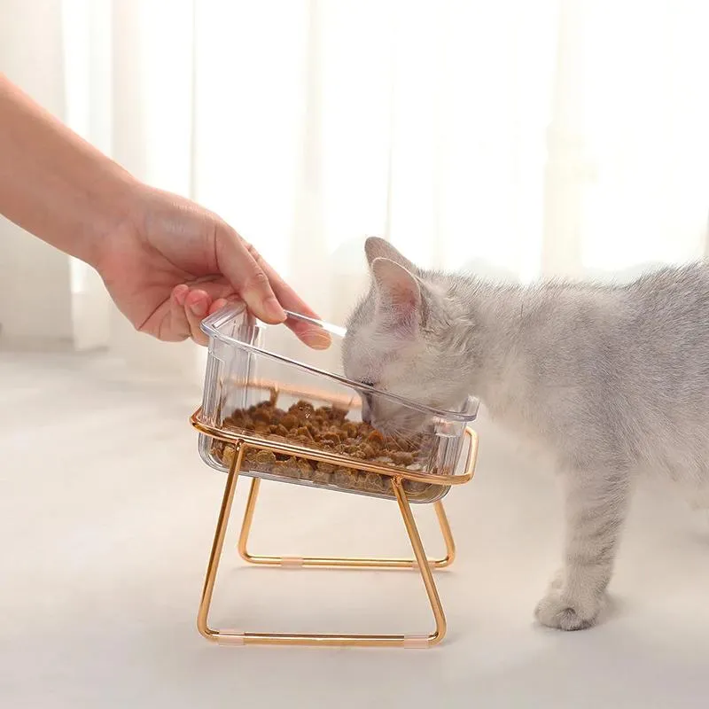 Removable 15 Tilted Elevated Pet Cat Dog Food and Water Bowls Set with Iron Stand