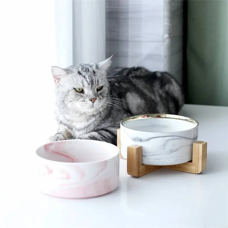 Wholesale 15° Tilted Food Feeding Dishes Cat Bowl