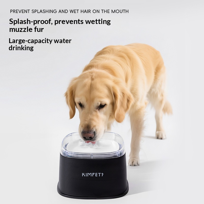 Elevated Leak Proof Floating Pet Bowls Automatic Pet Slow Feeder BPA Free Pet Feeder for Dogs &amp; Cats Low MOQ Ready to Ship