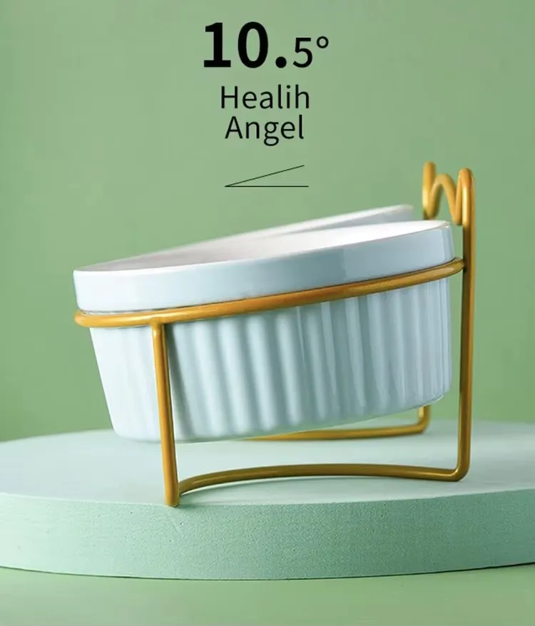 Ceramic Pet Feeding Bowl for Cats Dogs with Stand Tilted
