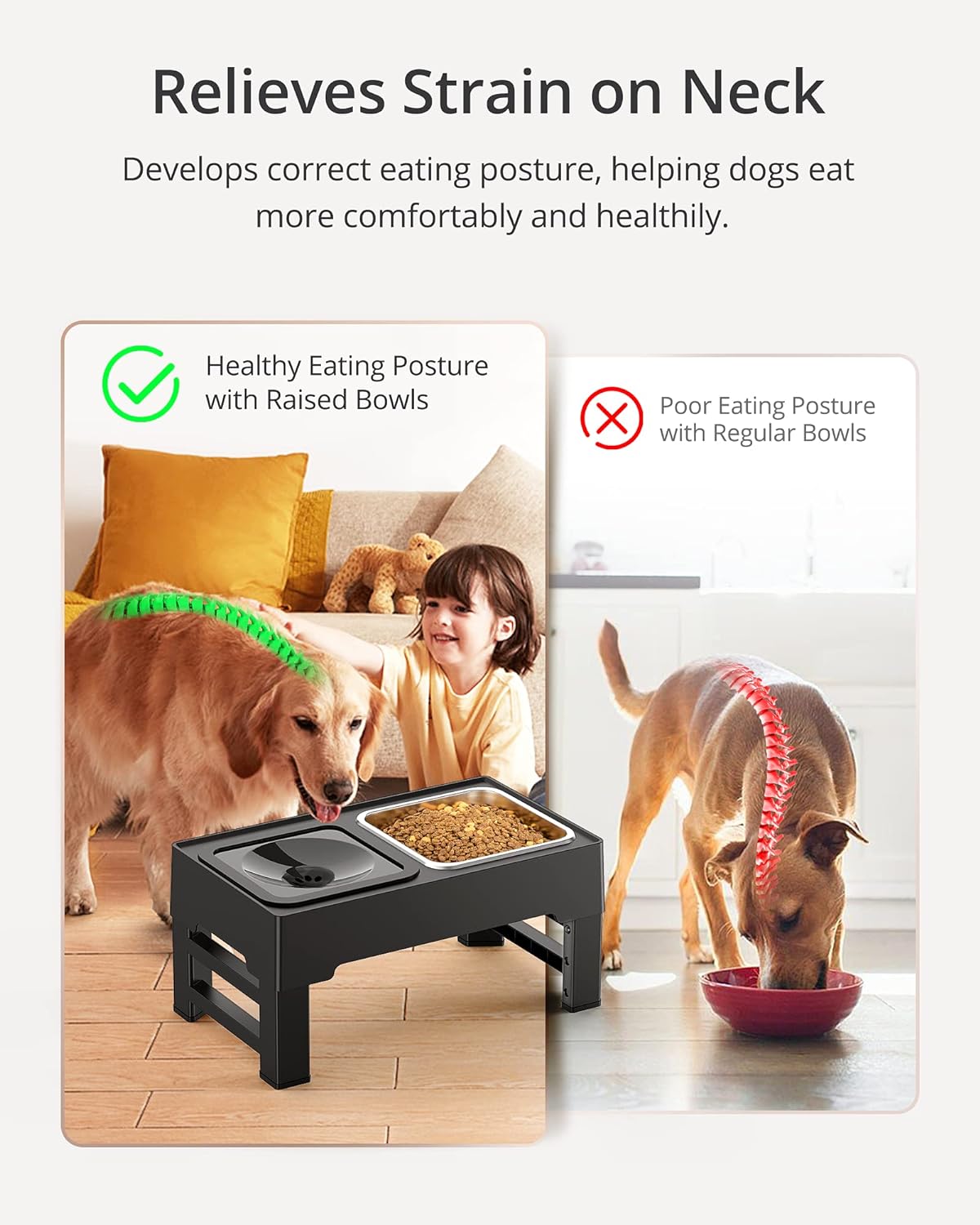 Adjustable Elevated Dog Bowl Grid Image 1