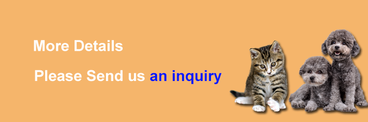 Concluding banner