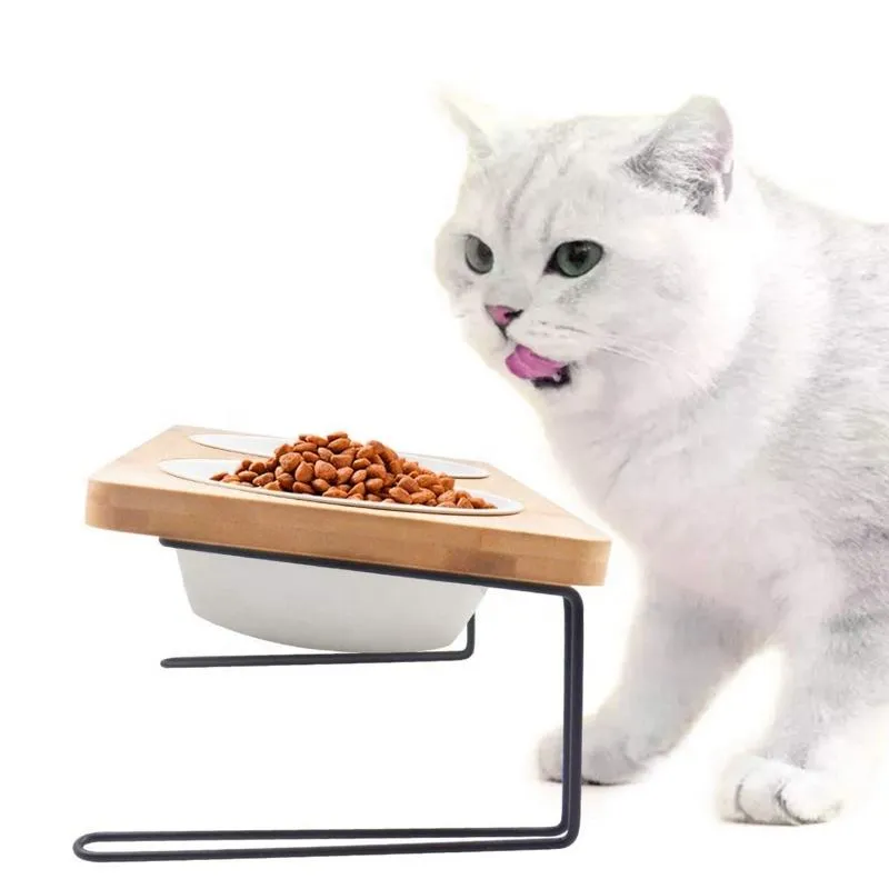 Elevated Cat Ceramic Bowls Stand for Food and Water Tilted Feeding Position
