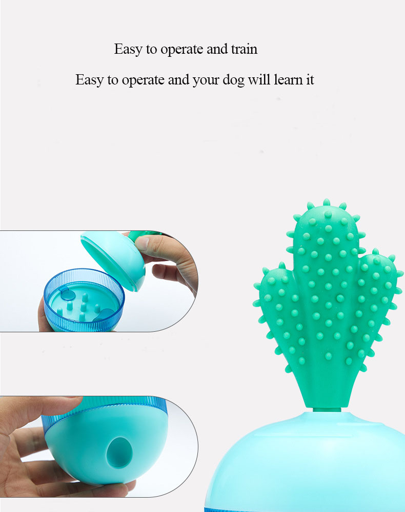 Pet Product Showcase 8
