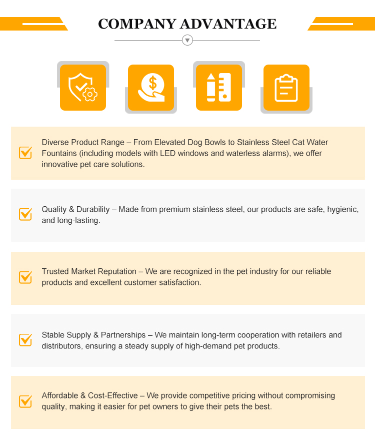Our Advantages Infographics