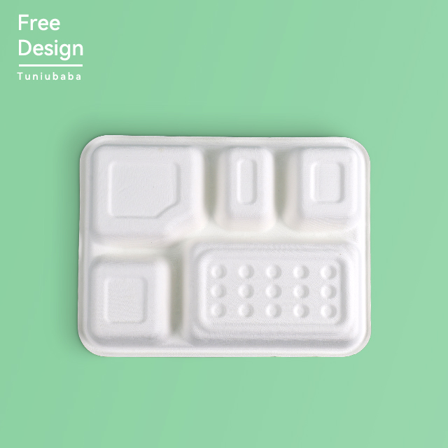 Multi-Compartment Food Tray Biodegradable Plate 6 Compartment Disposable Plate