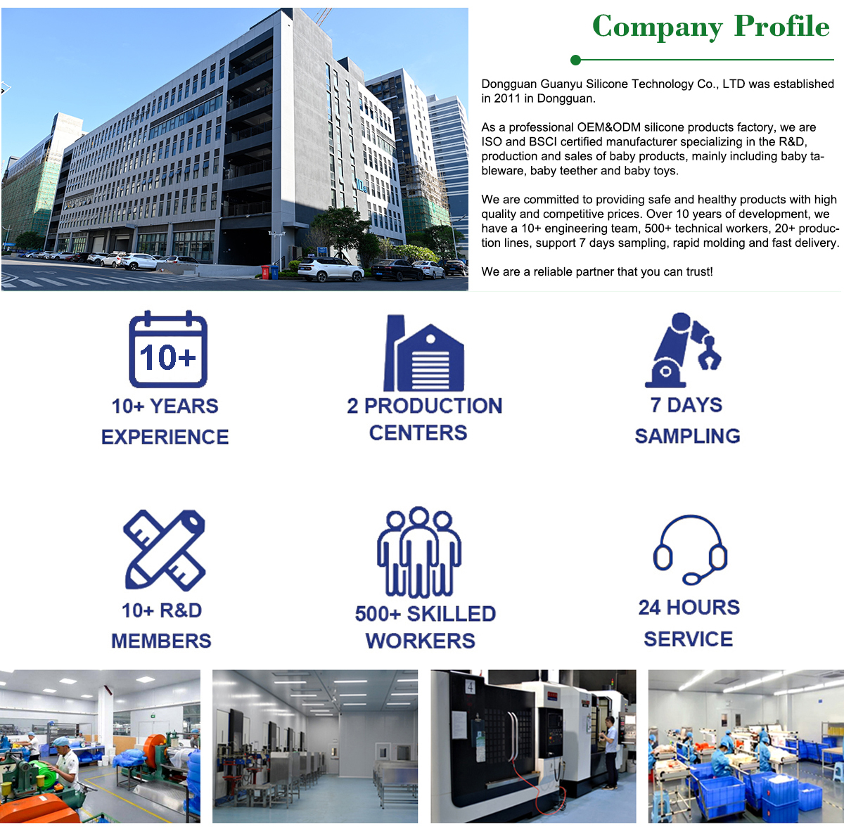Company Overview