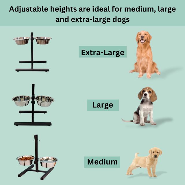 Product Details 1