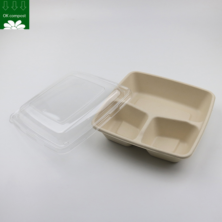 Custom Biodegradable Sugarcane Bagasse 3 Three Compartment Tray Eco Friendly Sugar Cane Lunch Food Plate With Lid