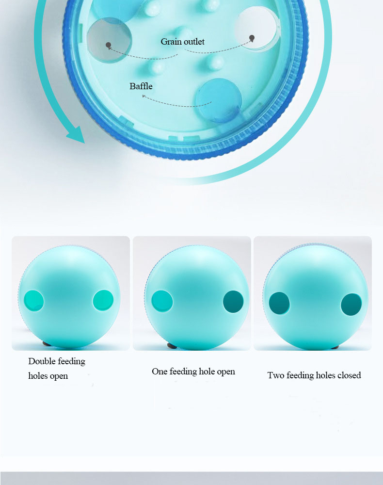 Pet Product Showcase 10