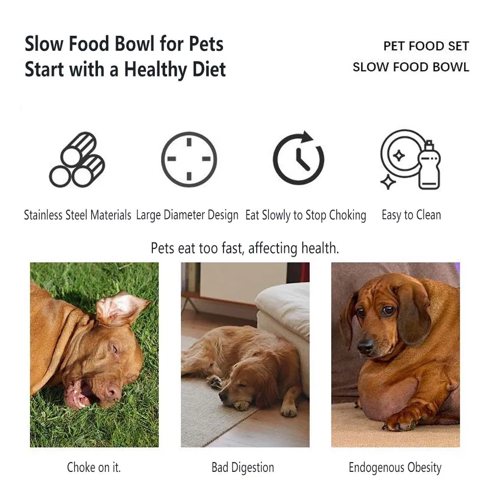 Slow Feeder Dog and Cat Bowls - Stainless Steel, Anti-Gulping, Non-Slip, Fun Design to Slow Down Eating, Easy to Clean, Pet Food Training Bowl Toy