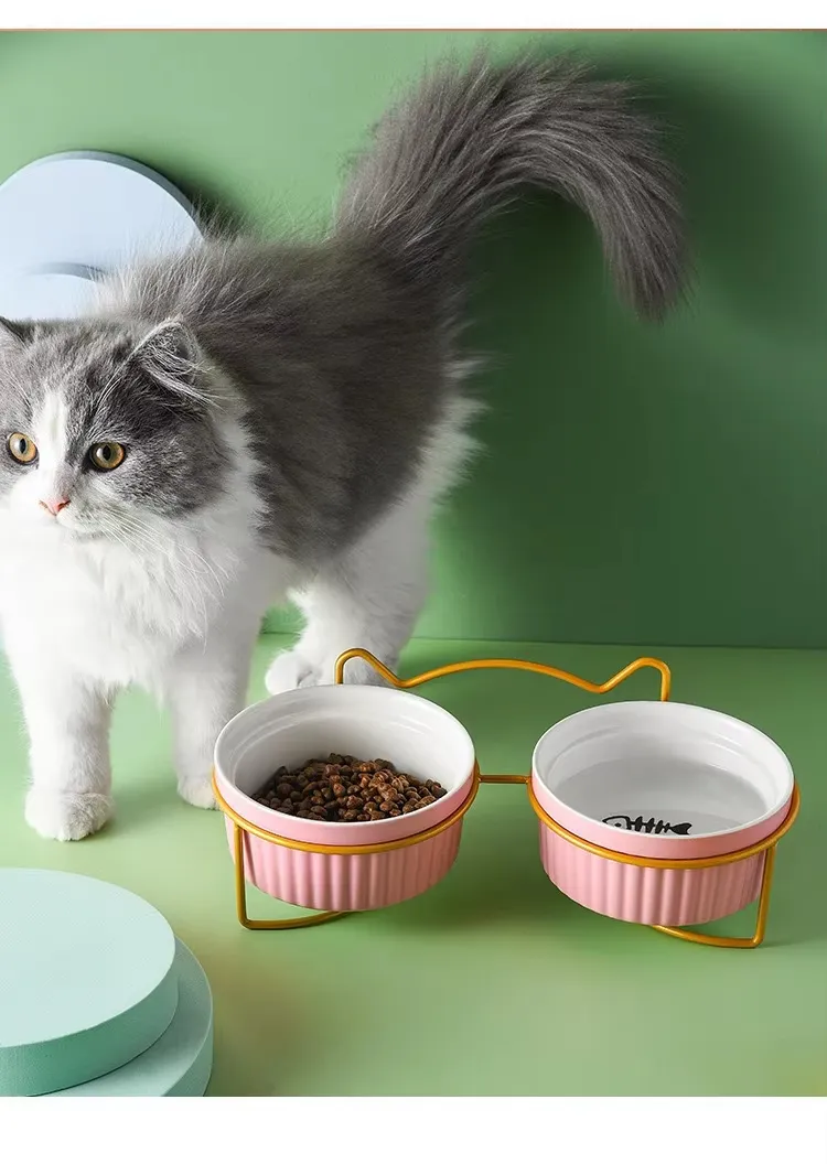 Ceramic Pet Feeding Bowl for Cats Dogs with Stand Tilted