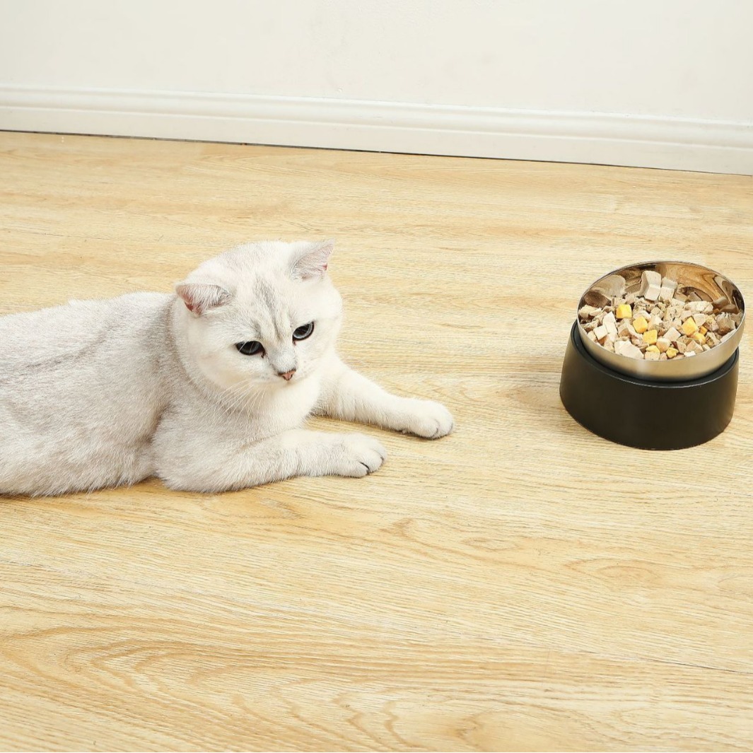 Wholesale 304 Stainless Steel Slow Feeder 2-in-1 Bird Lick Food Dispenser and Pet Water Bowl Solid Waterproof Durable for Pets
