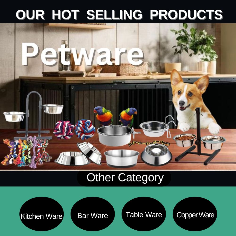 Recommended Products Showcase