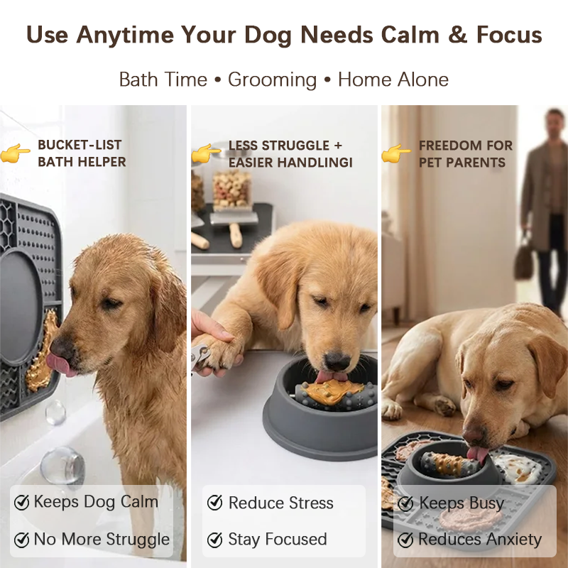 Busy Pet Owners Solution