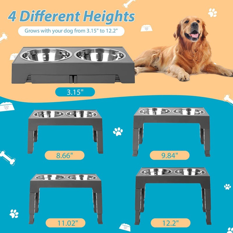 Adjustable Height Stainless Steel Pet Feeder with Dual Bowls Slow Feed Neck Protection Elevated Design for Dogs